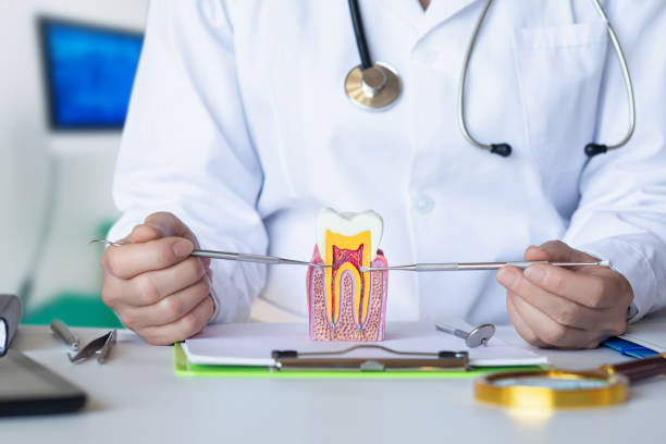 Best Pediatric Emergency Dentist in Greenwood, DE